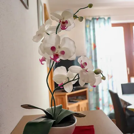 Apartmán Toni
